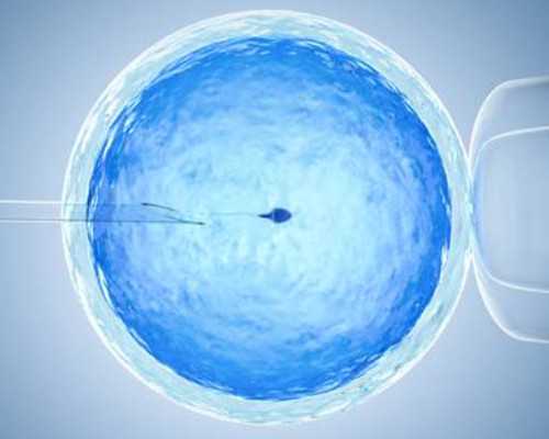 江蘇試管嬰兒醫(yī)保能報多少?費用和比例都在這